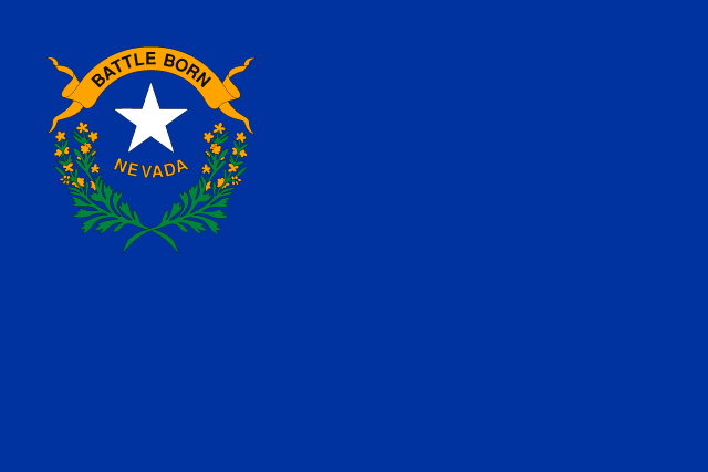 USA SEO