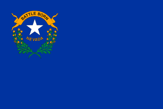 Las Vegas SEO Consultant