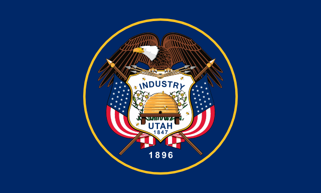 USA SEO